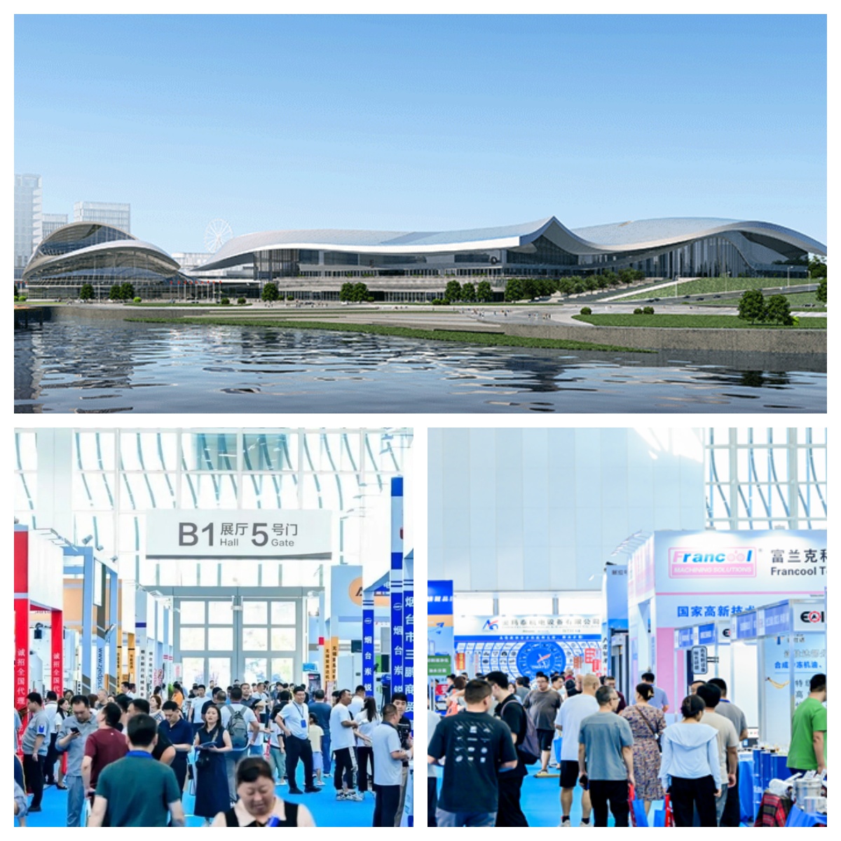 LIONSE participe à l'exposition Yantai 2026